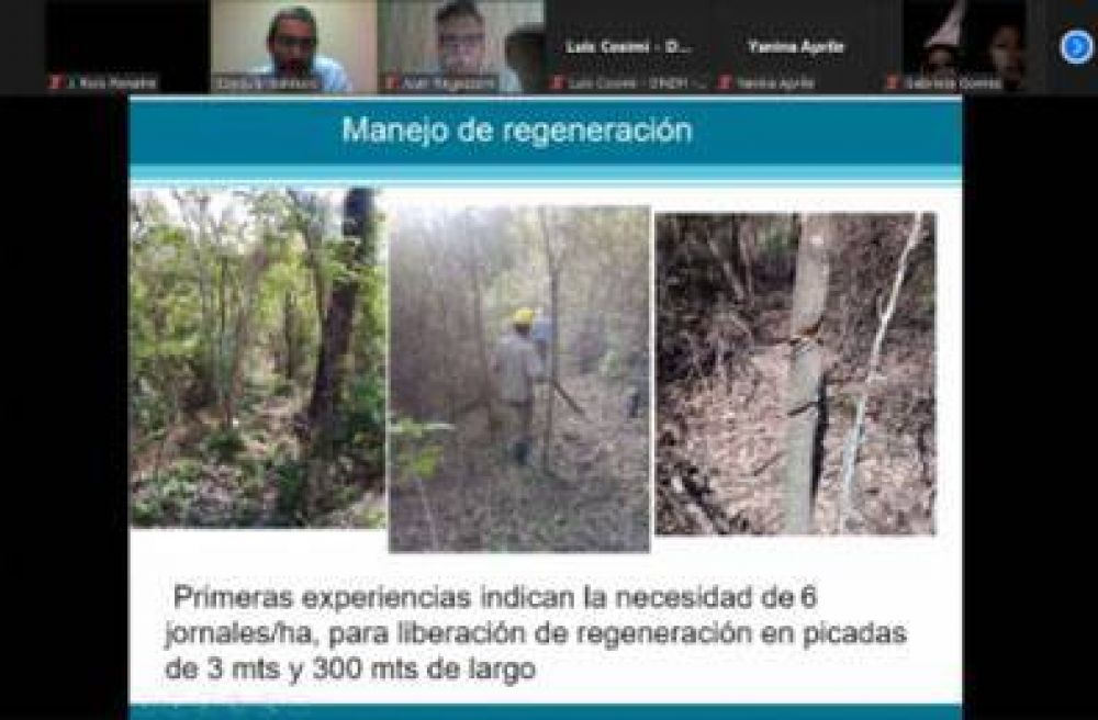 El RENATRE finaliz el ciclo de capacitaciones sobre Buenas Prcticas Laborales del Sector Forestal en Jujuy