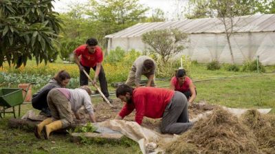 Impulsan nuevos talleres de Bioconstrucción en el Parque Ecológico