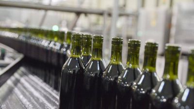 Compraron 1,5 millones de botellas para 35 bodegas pequeas y medianas de Mendoza