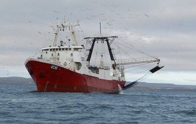 La actividad pesquera registró una caída del 17,34%