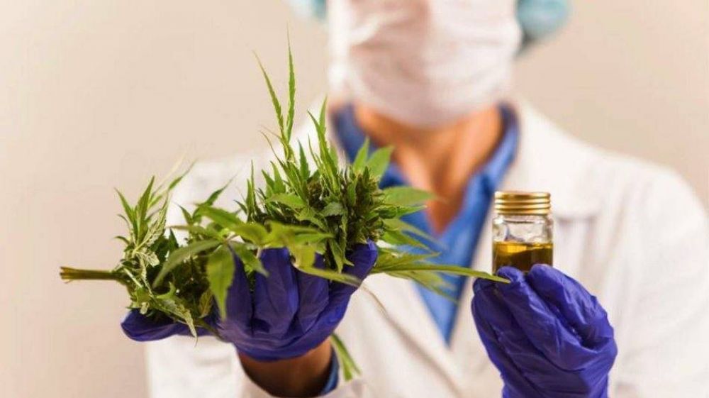 Cannabis medicinal: Elea, laboratorio de Hugo Sigman, ya entró a este negocio