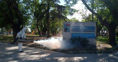 Fortalecen las acciones para combatir al dengue en Lomas