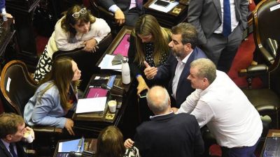 La oposición ante el desafío de ratificar la construcción de una nueva mayoría en Diputados