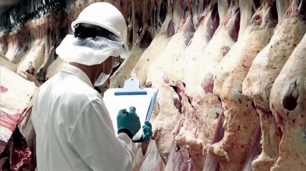 Anticipan que la exportacin de carne vacuna caer en torno a 10% durante 2022