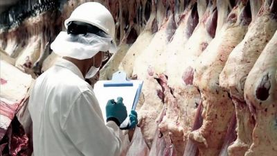 Anticipan que la exportación de carne vacuna caerá en torno a 10% durante 2022