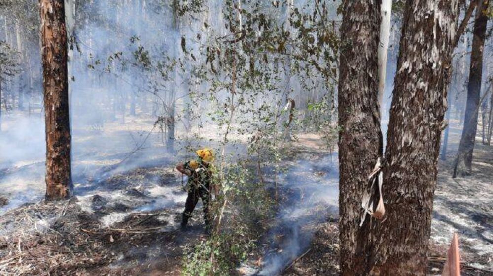 Berazategui: luego de más de 24 horas de trabajo, extinguieron el incendio que afectó más de 150 hectáreas de monte en el Parque Pereyra Iraola