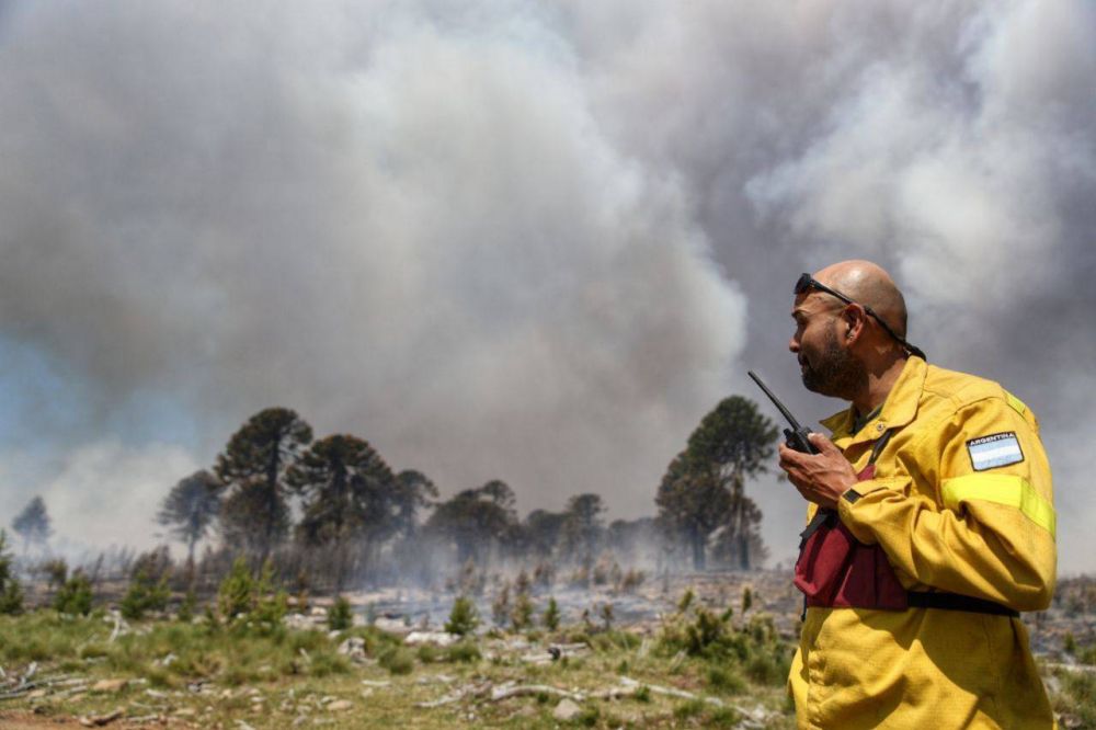 El fuego no se detiene y ya consumió más de 1300 hectáreas