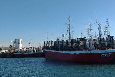 Capitanes de Pesca solicitaron urgente audiencia paritaria para personal de buques poteros