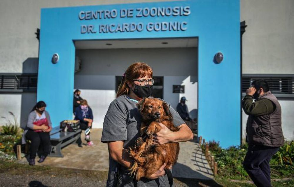 El Hospital Municipal de Zoonosis de Escobar vacunó a más de 30 mil mascotas en 2021