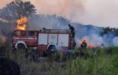 Bomberos voluntarios de Merlo combatieron por 12 horas un incendio de 15 hectáreas de pastizales y arboledas