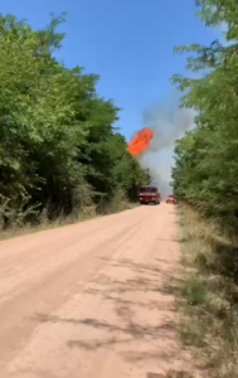 Incendio forestal en empalme Lobos, afectó varios árboles cerca del tendido eléctrico