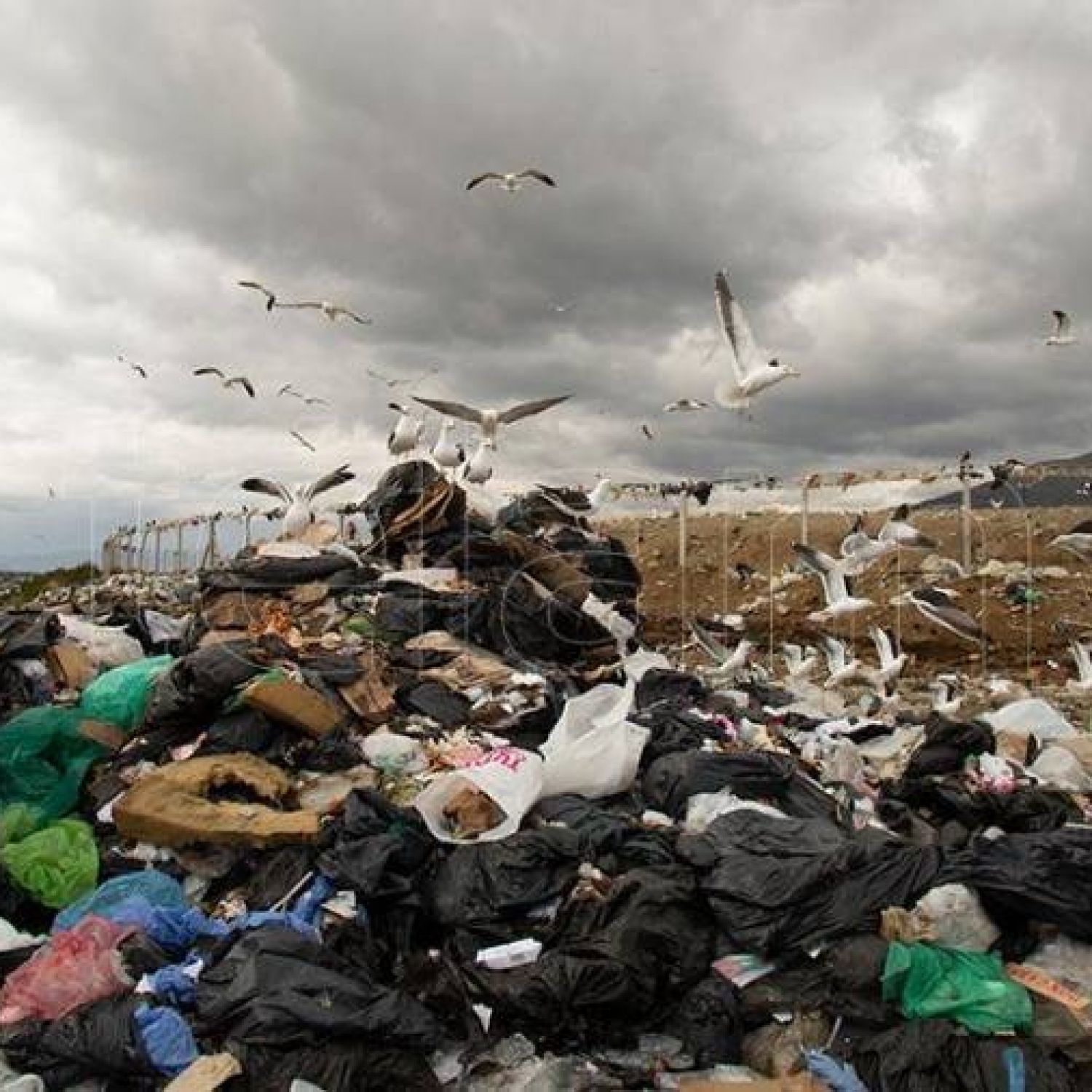 ¿Cómo obtener energía a partir de los residuos?