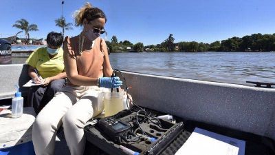 Cianobacterias: el Municipio de Tigre y Nación realizaron monitoreos en el Delta para evaluar el estado del agua