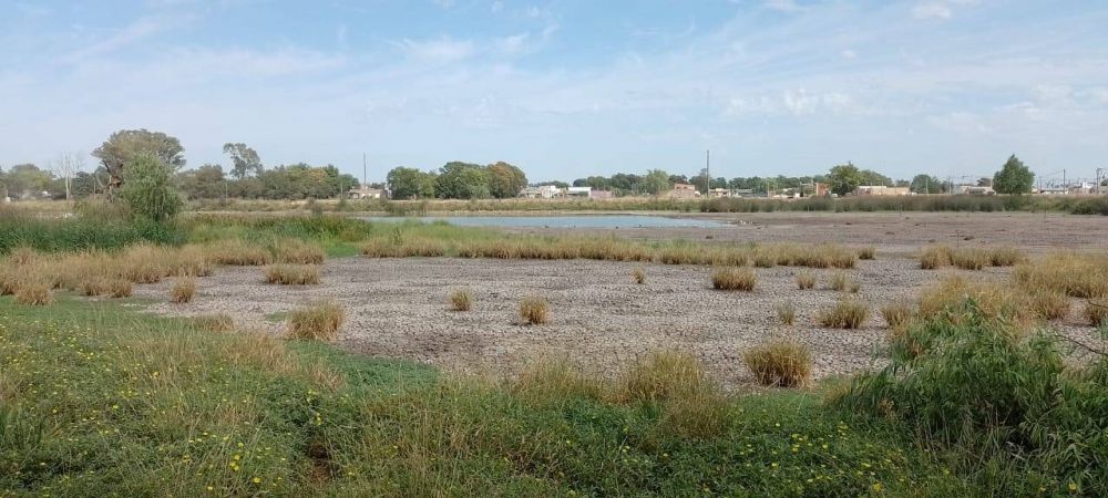 Sequía en lagunas y parques de nuestra ciudad