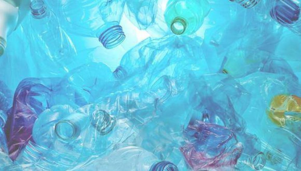 Reciclaje: cmo reconocer envases ecoeficientes y reusables?