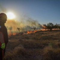 Casi 60 incendios forestales en dos días en General Pueyrredon