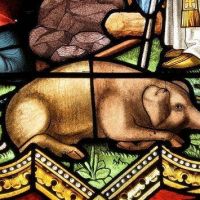 San Antonio Abad, los animales y la leyenda del cerdito