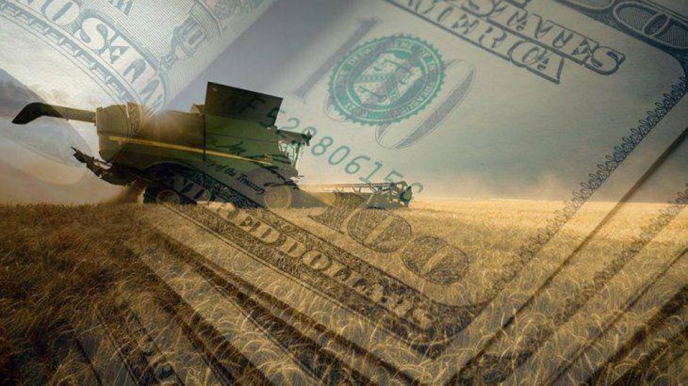 Por qu si la Argentina no llega a un acuerdo con el FMI podra perjudicar la agricultura de EEUU?