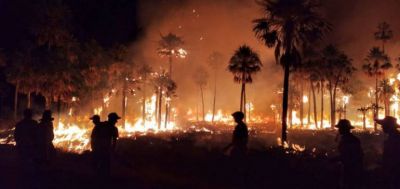 Unas 2500 hectáreas afectadas por un incendio forestal en una zona rural de Villa Angela