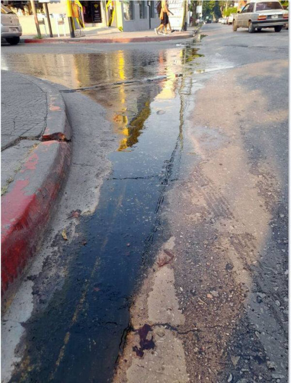 ZRATE EN PELIGRO: Muchas calles sin mantenimiento de la red de agua corriente que fluyen generando verdn y serios accidentes
