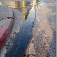 ZÁRATE EN PELIGRO: Muchas calles sin mantenimiento de la red de agua corriente que fluyen generando “verdín” y serios accidentes