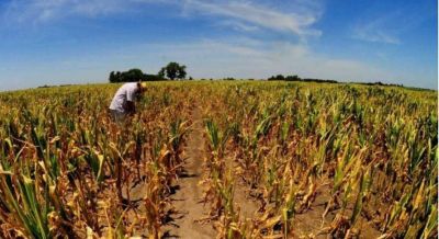 Sequía: el campo, preocupado por las pérdidas y por la falta de diálogo con el Gobierno