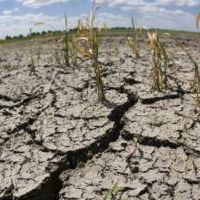 Sequía: Balcarce pedirá a Provincia que declare la emergencia agropecuaria