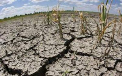 Sequía: Balcarce pedirá a Provincia que declare la emergencia agropecuaria