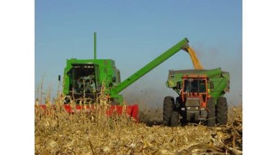 Desde Comercio interior atan el éxito de precios cuidados al Fideicomiso del trigo y maíz