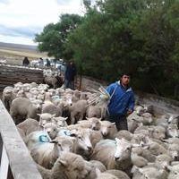 UATRE Patagonia articula acciones para la zona de Meseta Norte, Chubut