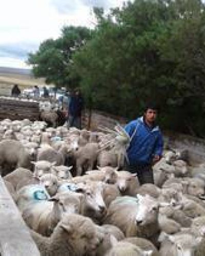 UATRE Patagonia articula acciones para la zona de Meseta Norte, Chubut