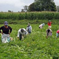 Lanzan becas en Universidad Nacional de Rosario para hijos de trabajadores rurales