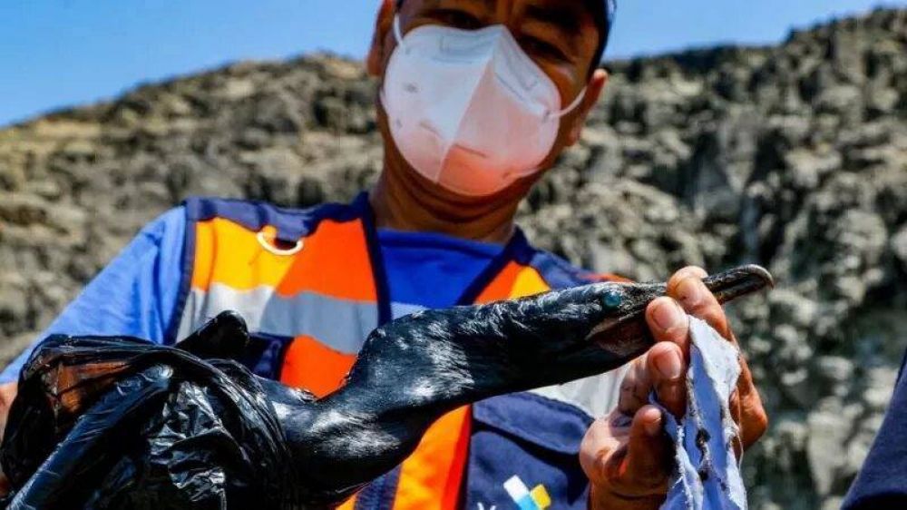 Perú declara la emergencia ambiental por el derrame de petróleo provocado por el tsunami en Tonga