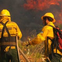 ATE pide a Cabandié que mejore las condiciones laborales de los brigadistas que combaten los incendios