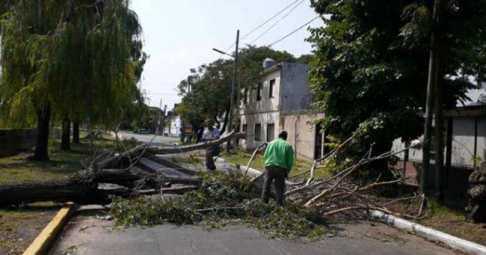 Se realizan tareas de emergencia por el fuerte temporal en Lomas