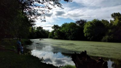 Otra vez el río Luján teñido de verde