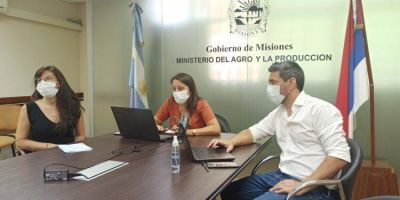 Misiones presentó a Nación estado de situación para la declaración de emergencia agropecuaria