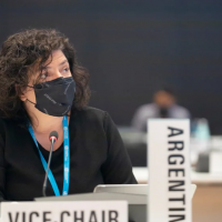 Carla Vizzotti renovó frente a la OMS el compromiso de Argentina con el acceso global y equitativo a la Salud