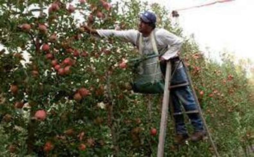 La UATRE logr un 53,25% de mejora salarial para trabajadores del sector frutcola