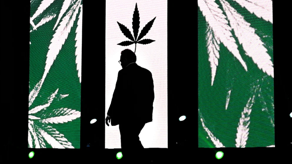 El Gobierno apuesta al cannabis: qu dice el proyecto de ley que incluy en las sesiones extraordinarias