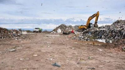 Adjudican la licitaci�n para crear el Eco Parque de Chascom�s
