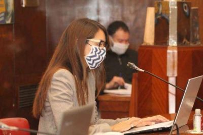 La concejal Romero neg� que haya una empresa privada detr�s del convenio de Fotomultas