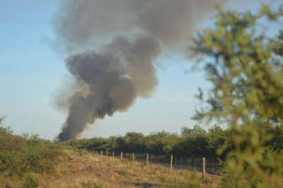 Por un rayo: se quemaron 200 hectáreas en Telén
