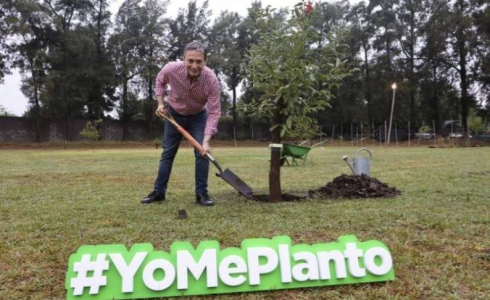 Tras la renuncia, Gray volvi� a apuntar a M�ximo: 