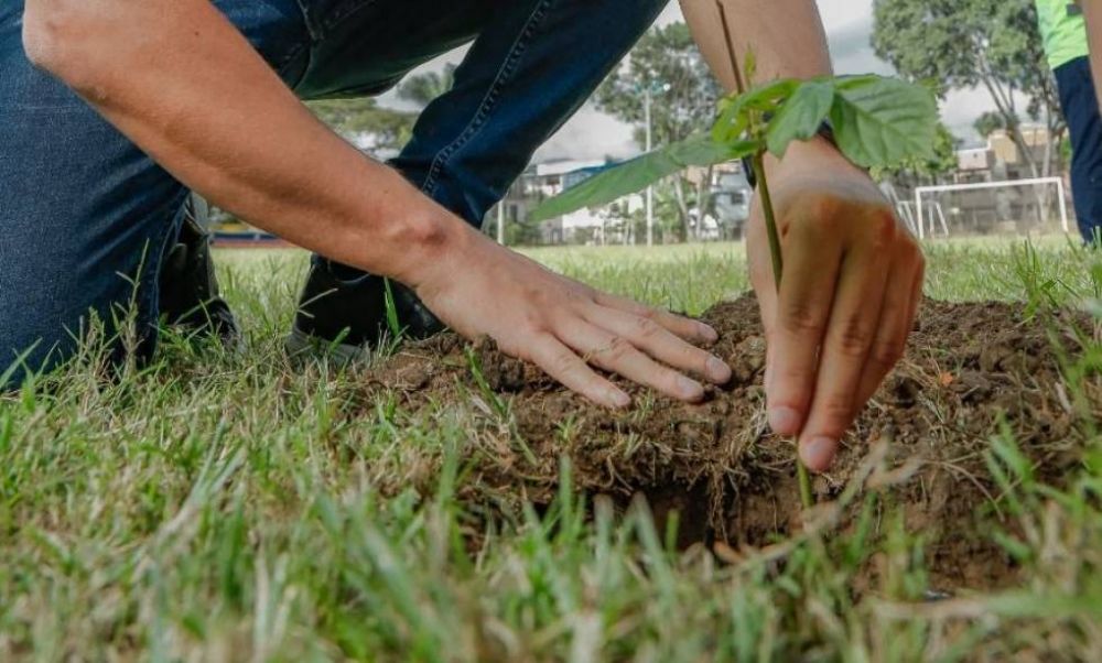 500 kilos de residuos slidos se recolectaron en jornada ambiental en el norte de Cali