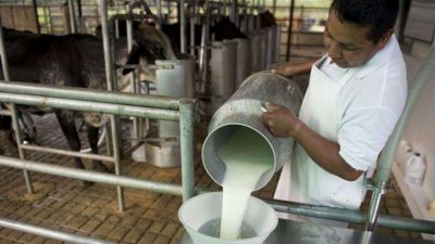 Gobierno y sector lácteo negocian para evitar control en exportaciones