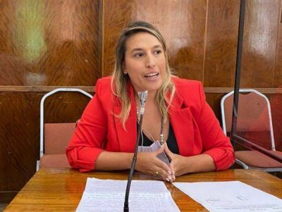 Cuesta: Nadie en la bancada oficialista defendi� el proyecto de las fotomultas
