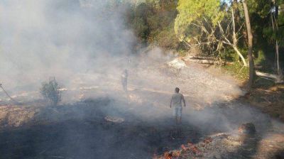 Un incendio en cercanías al bosque energético de Miramar generó preocupación