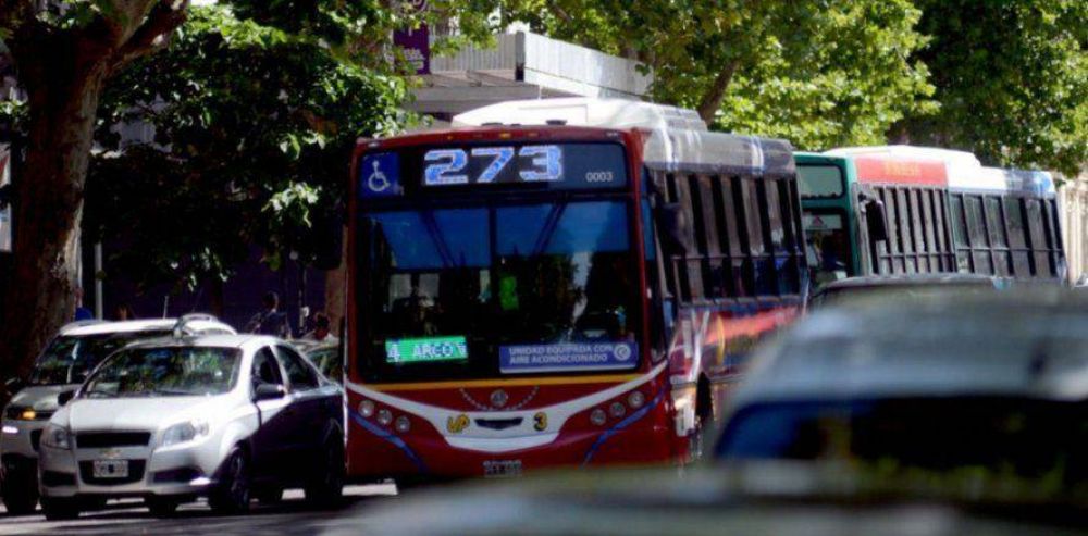 �Qu� l�neas colectivos retoman su frecuencia habitual en La Plata?