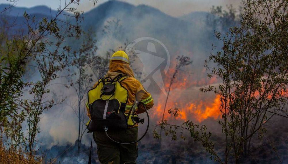 En enero se quemaron más de 3.600 hectáreas en la provincia